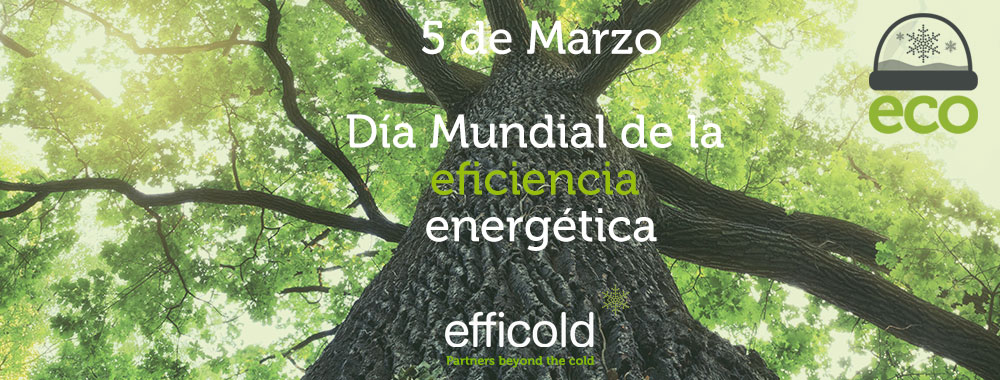 Día mundial de la eficiencia energética - Efficold