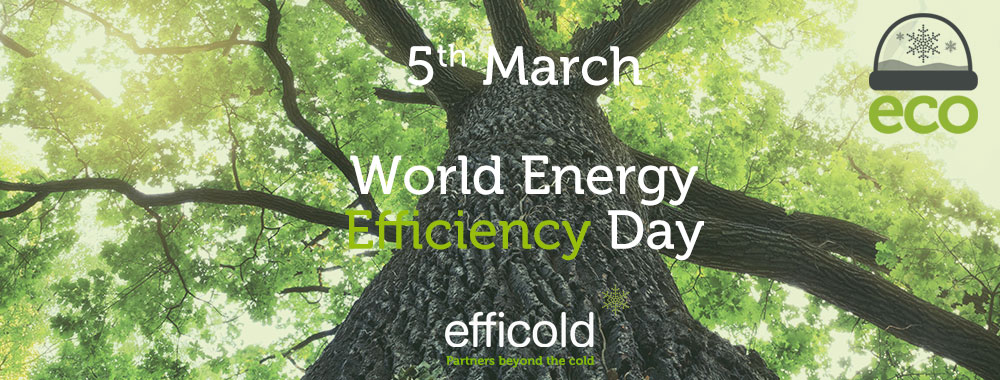 World Energy Efficiency Day 1