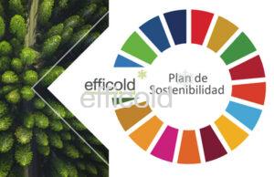 Efficold: We offer solutions for the food and beverage sector